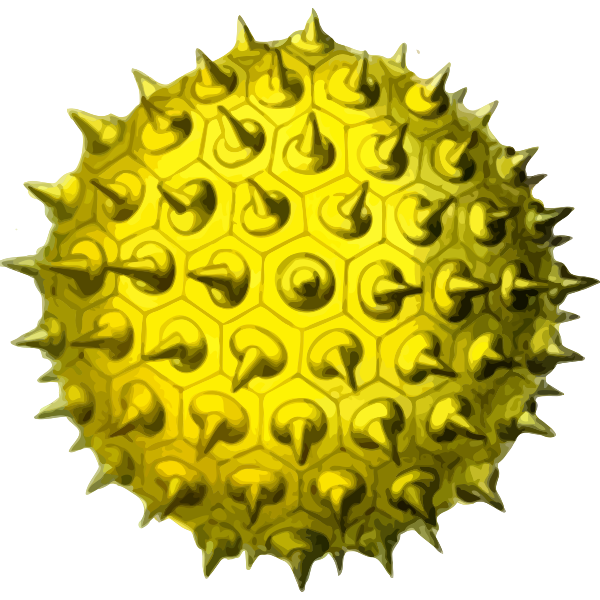 Pollen2