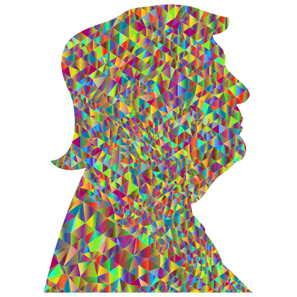 Polychromatic Low Poly Trump Profile Silhouette