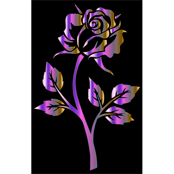Polychromatic Rose Silhouette