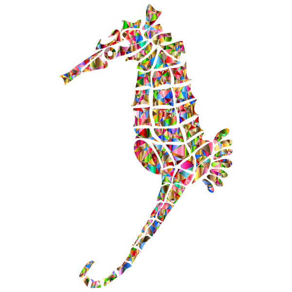 Polychromatic Stylized Seahorse Silhouette