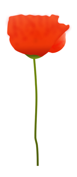Poppy Flower | Free SVG