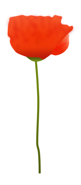 Poppy Flower Free Svg