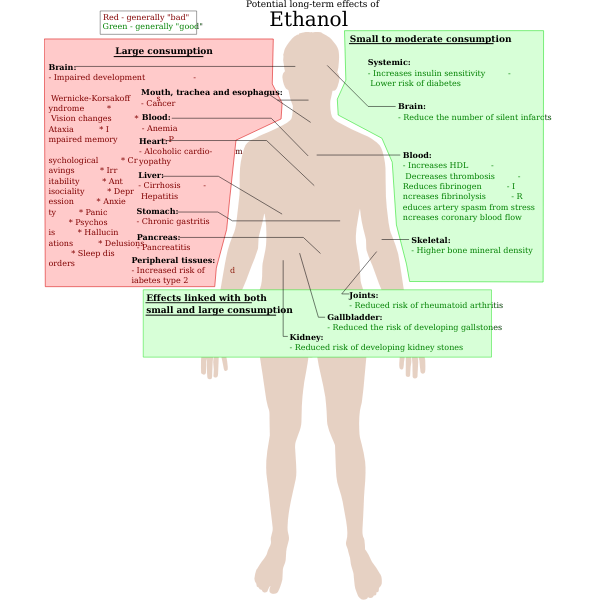 Possible Long Term Effects Of Ethanol | Free SVG