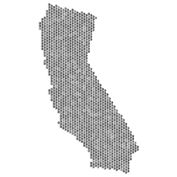 Prismatic California Hexagonal Mosaic 3