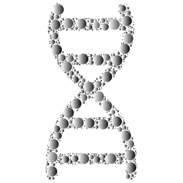 Prismatic DNA Helix Circles 3