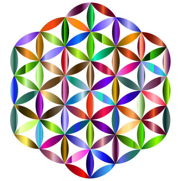 Prismatic Flower Of Life 2