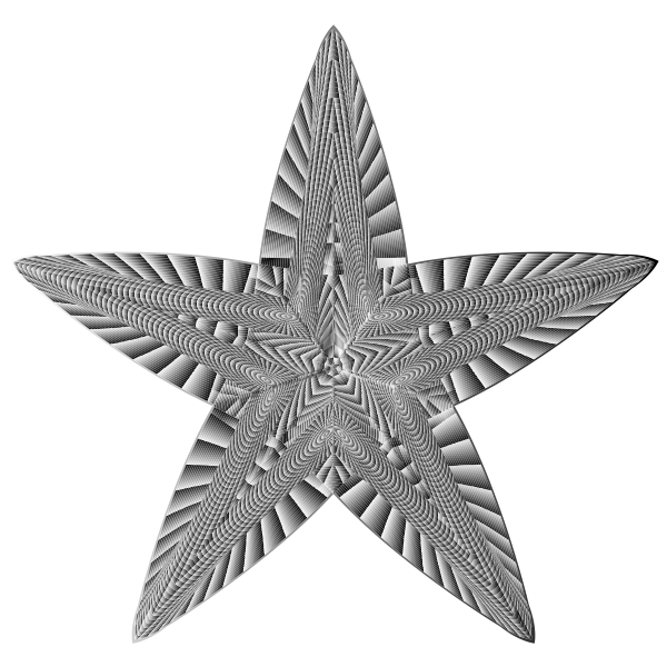Prismatic Geometric Star 5