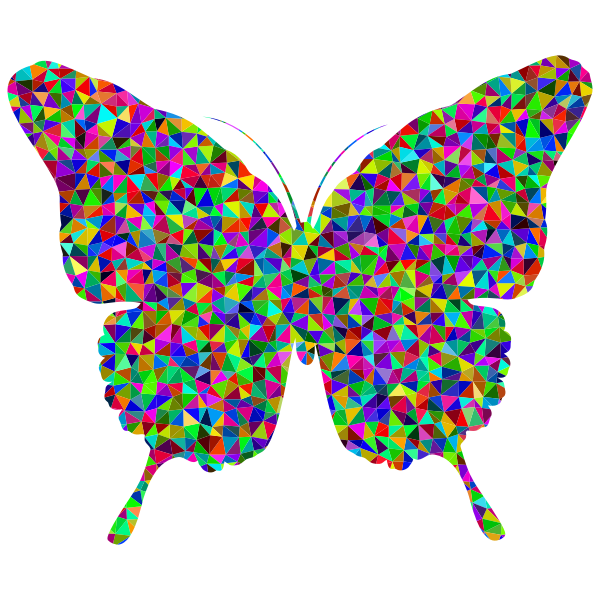 Prismatic butterfly-1628545048