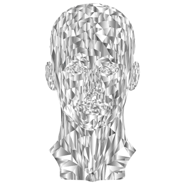 Prismatic Low Poly Female Head 3