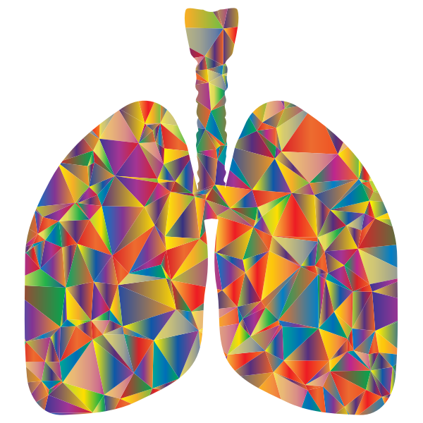 Prismatic Low Poly Lungs Silhouette