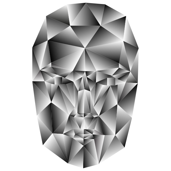 Prismatic Wireframe Head 3