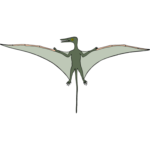 Pterodactyl 2a