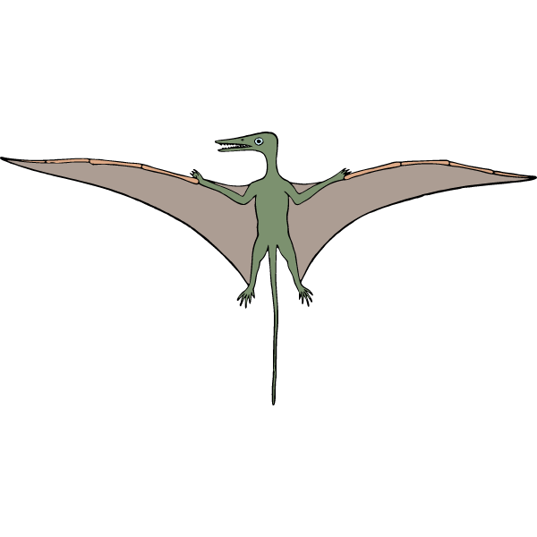 Pterodactyl 2c
