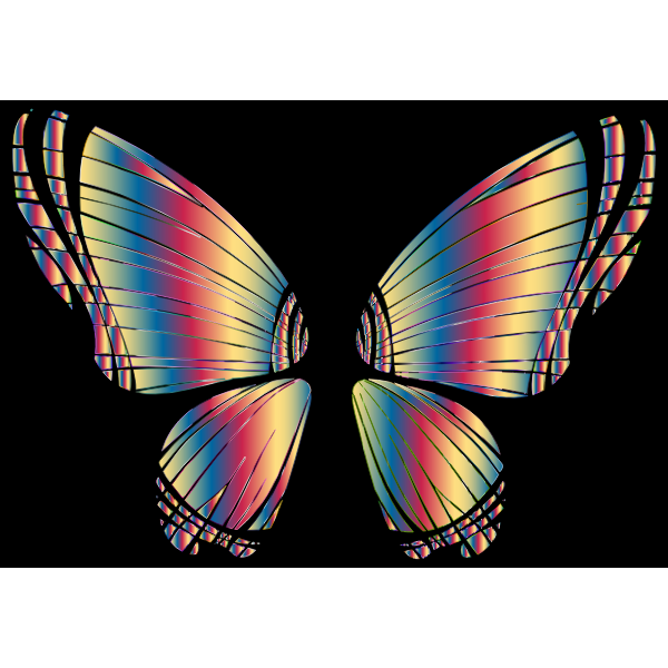 RGB Butterfly Silhouette 10 16