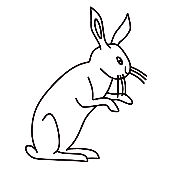 Rabbit XIX