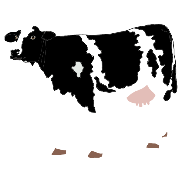 Cow drawing