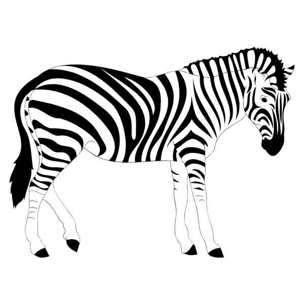 Get Free Zebra Svg File PNG