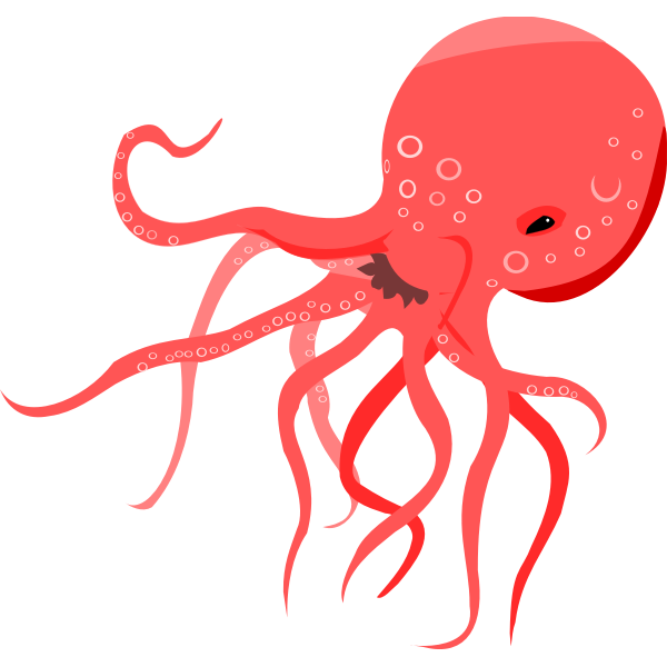 Vector illustration of red octopus