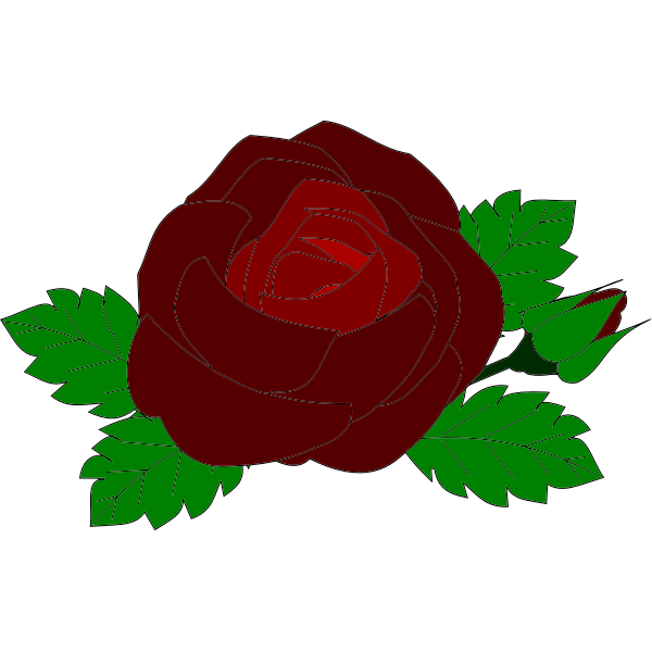 Red rose-1624658347