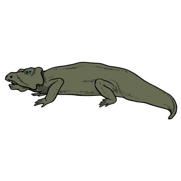 Reptiles II