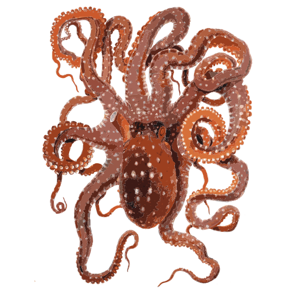 Vector clip art of red octopus