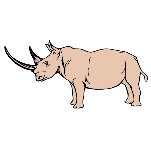 Rhinoceros V