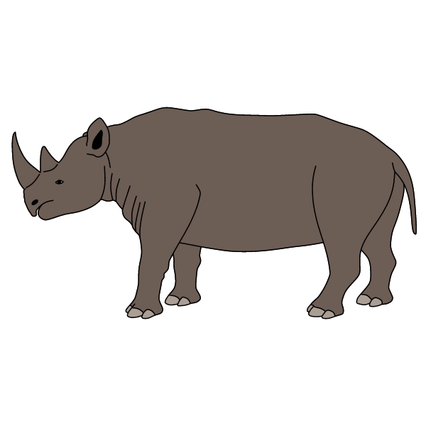 Rhinoceros XII