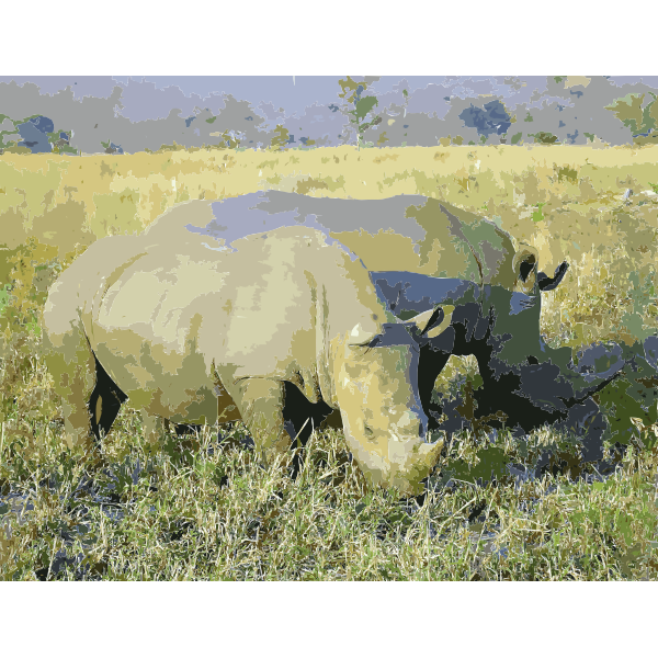 Rhinoceros in South Africa adjusted 2016121800