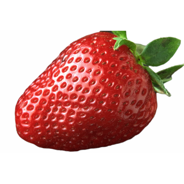 Ripe Red Strawberry