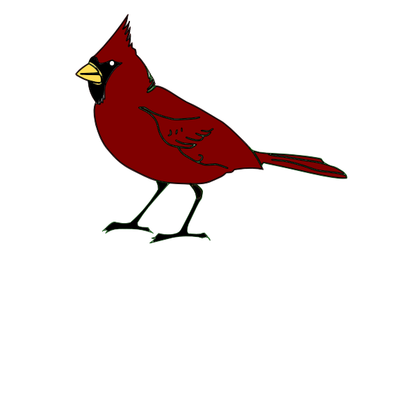 Cardinal bird in red color clip art