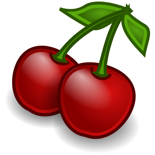 Cherries vector illustration