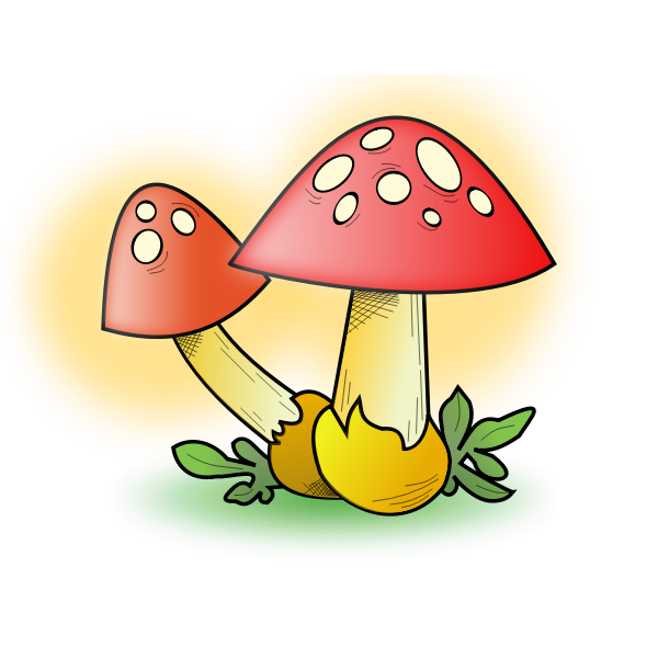 Mushroom vector graphics