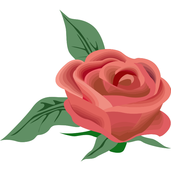 Rose26