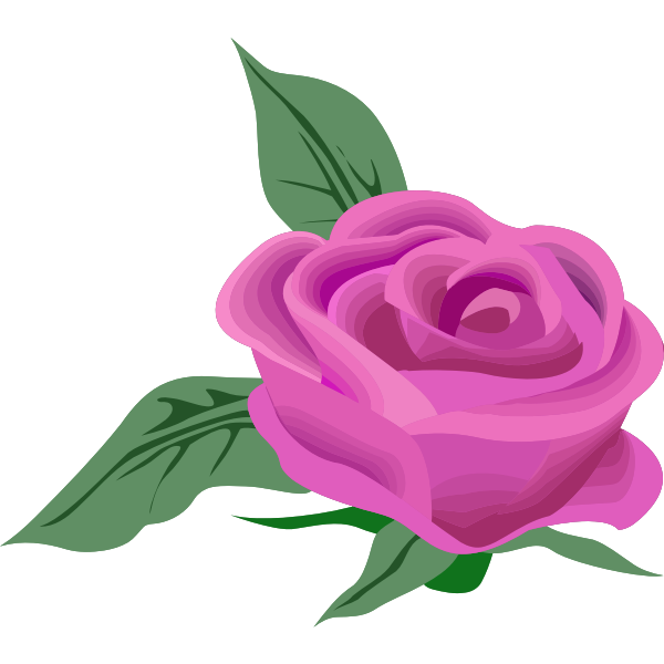 Rose26Colour4 | Free SVG