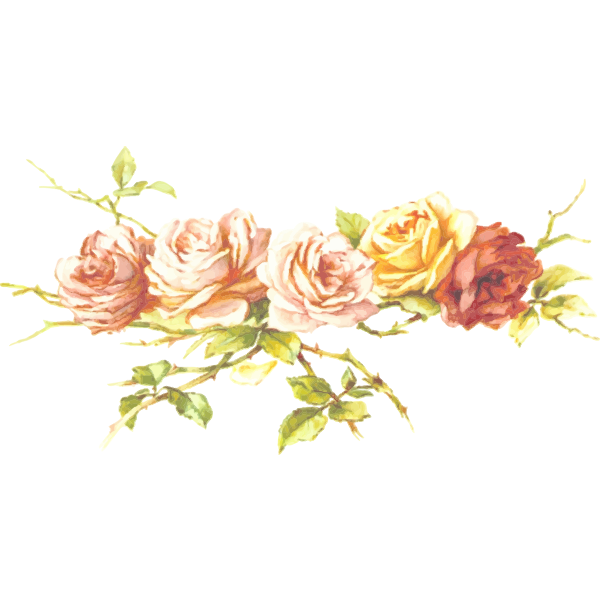 Roses in a branch