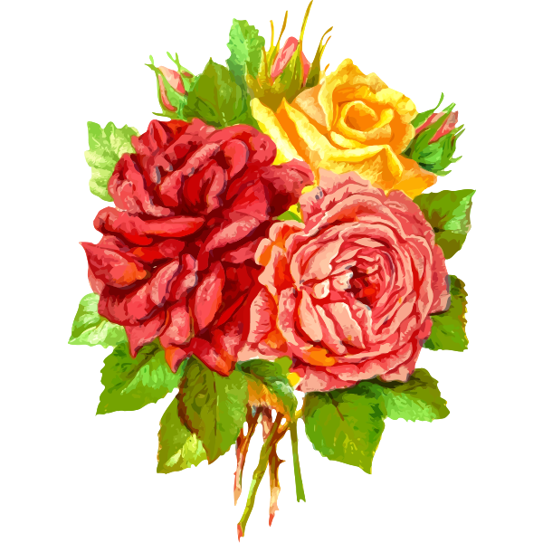 Yellow and red roses