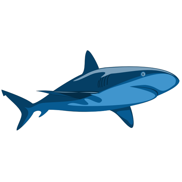 Pure shark image | Free SVG