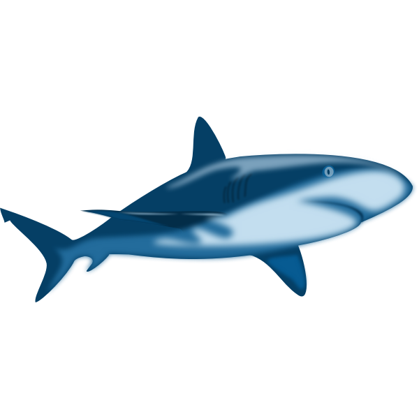 Shaded shark | Free SVG