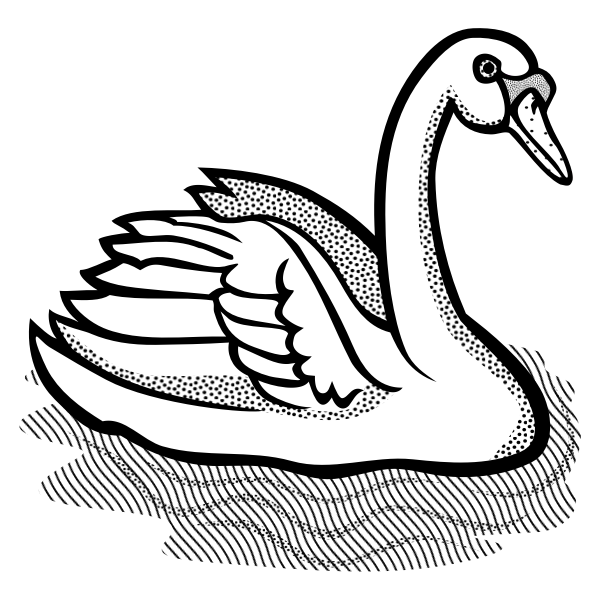 Swan with part spotty feathers in water vector image