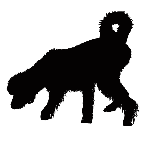 Download Shaggy Wet Dog Silhouette | Free SVG