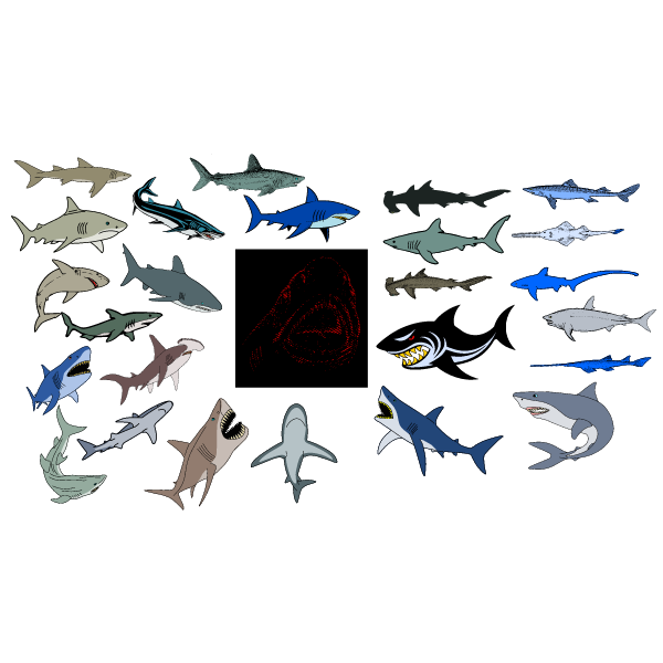 Sharks I