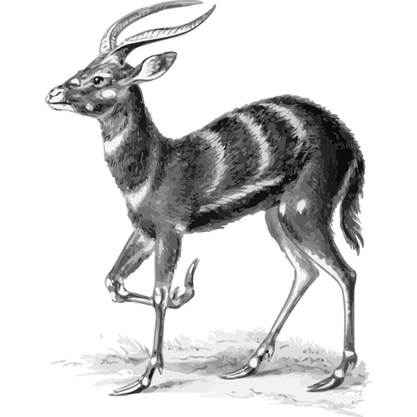 Antelope vector drawing