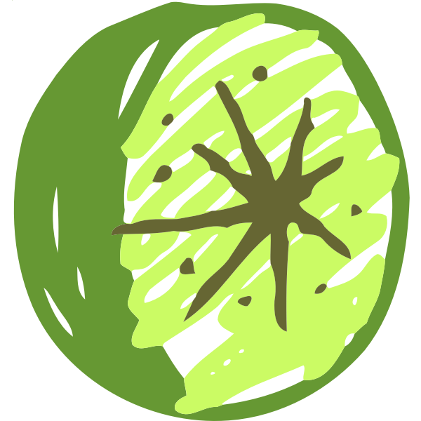 Sketched lime image