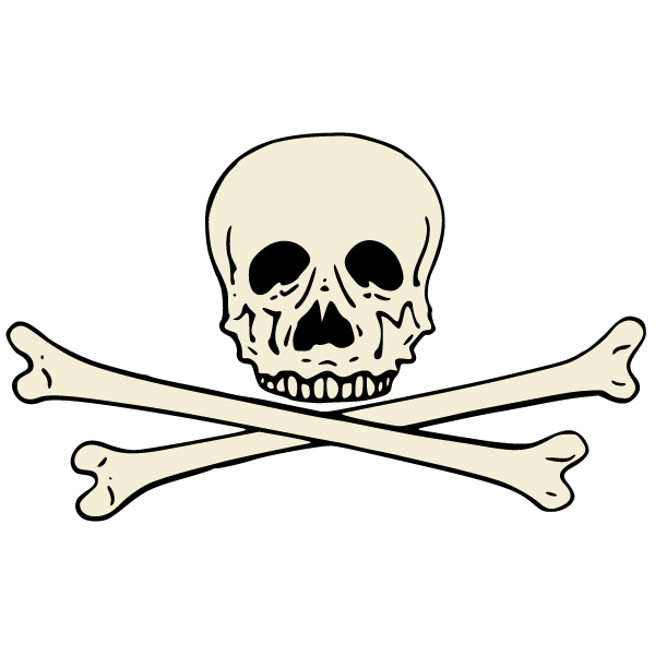 Skull II