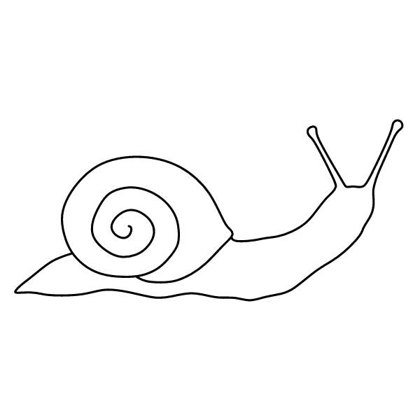 Snail 10