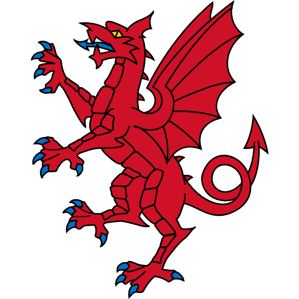 Somerset Dragon-1611848125