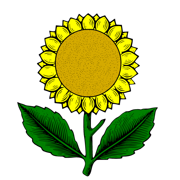 Sunflower IV