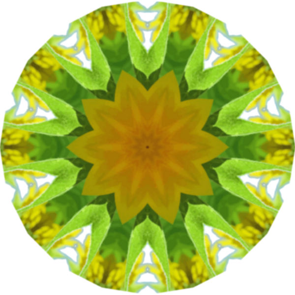 SunflowerKaleidoscope11