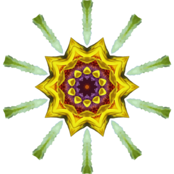 SunflowerKaleidoscope19