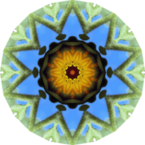 SunflowerKaleidoscope21